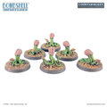 Edo Spawnlings (6)